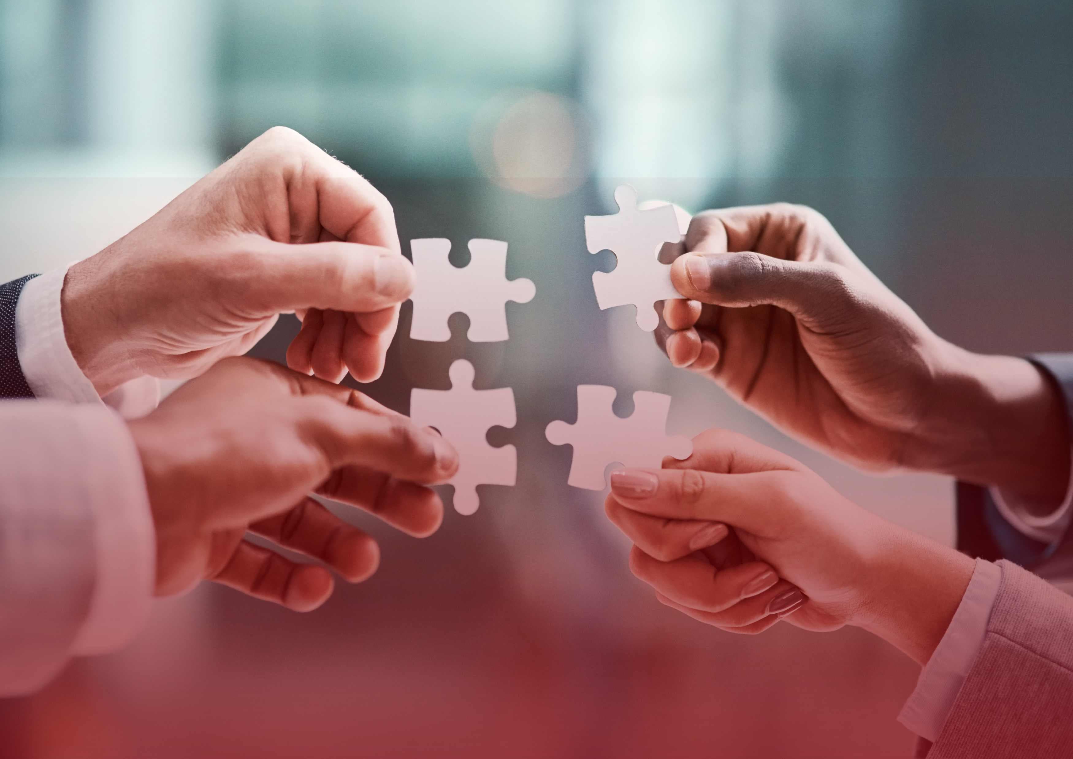 Équipe AFRIQUE PREVENTION PRO